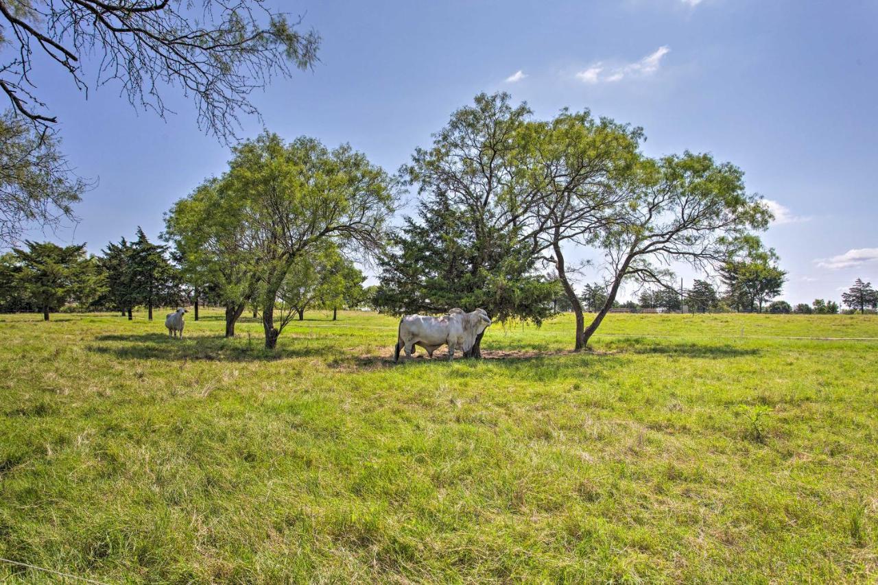 Texas Cabin On 130 Acres Walk To Lake Ray Roberts Collinsville Ngoại thất bức ảnh